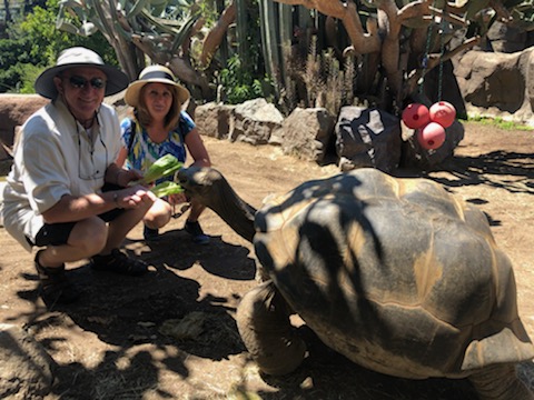 Photo of Avery, Danelle and San Diego Zoo Turtle